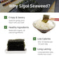 Organic Premium Sesame Oil Roasted Sigol Seaweed 192pk (4g x 192)