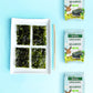 Organic Premium Sesame Oil Roasted Sigol Seaweed 192pk (4g x 192)